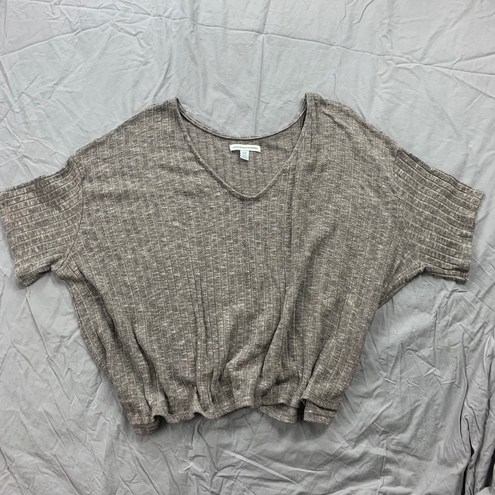 Brown American Eagle crop top